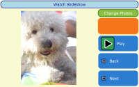 large image of dog plus controls for next and pause